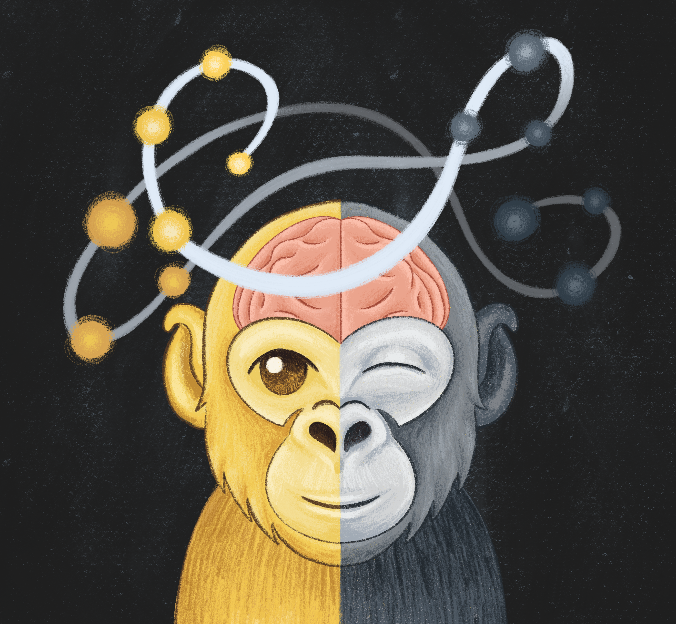 Macaque with one eye open and one closed, with an artistic manifold hovering around its head, representing the neural manifolds found in V1.